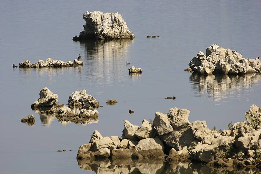 16 bin yıl önce püskürdü Demirköprü Barajı’nın suyu çekilince göründü. Kara olan rengi beyaza döndü - Resim: 23